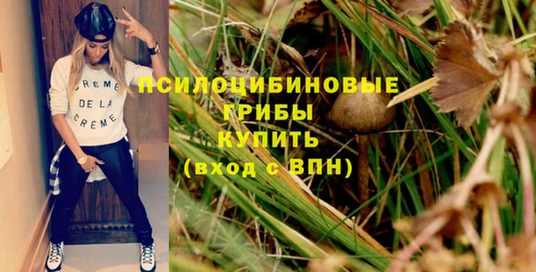 крисы Беломорск