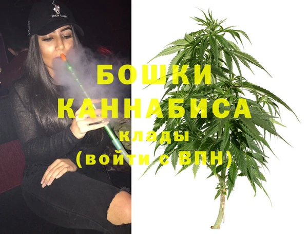 крисы Беломорск