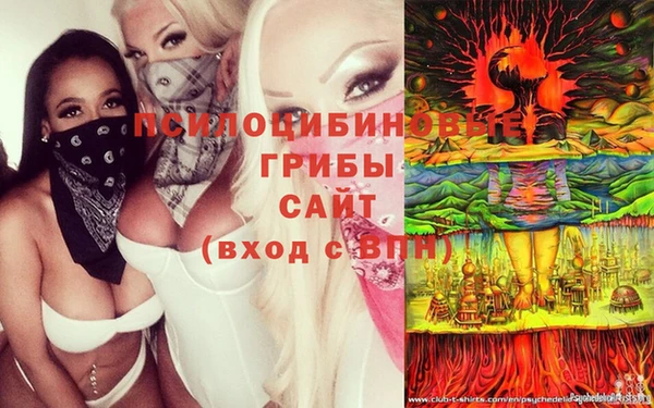гидра Ступино