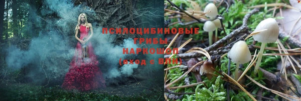 крисы Беломорск