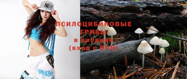 крисы Беломорск
