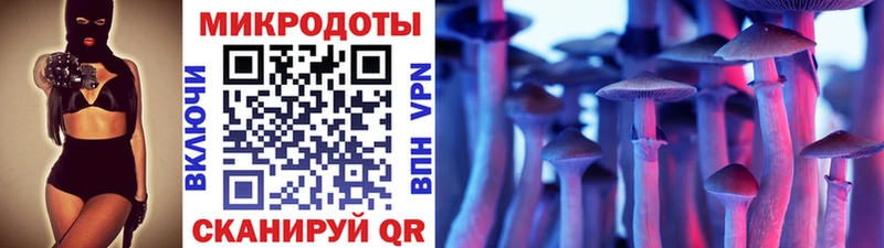 Галлюциногенные грибы Psilocybine cubensis  кракен вход  Гусев 