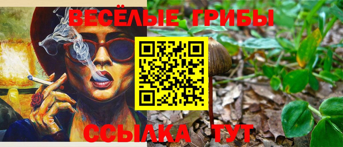 Галлюциногенные грибы Psilocybine cubensis Гусев